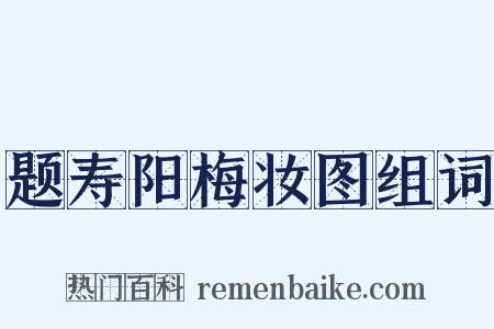 题寿阳梅妆图组词是什么意思的图片